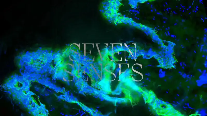 Green and blue fluid artwork titled Seven Senses
